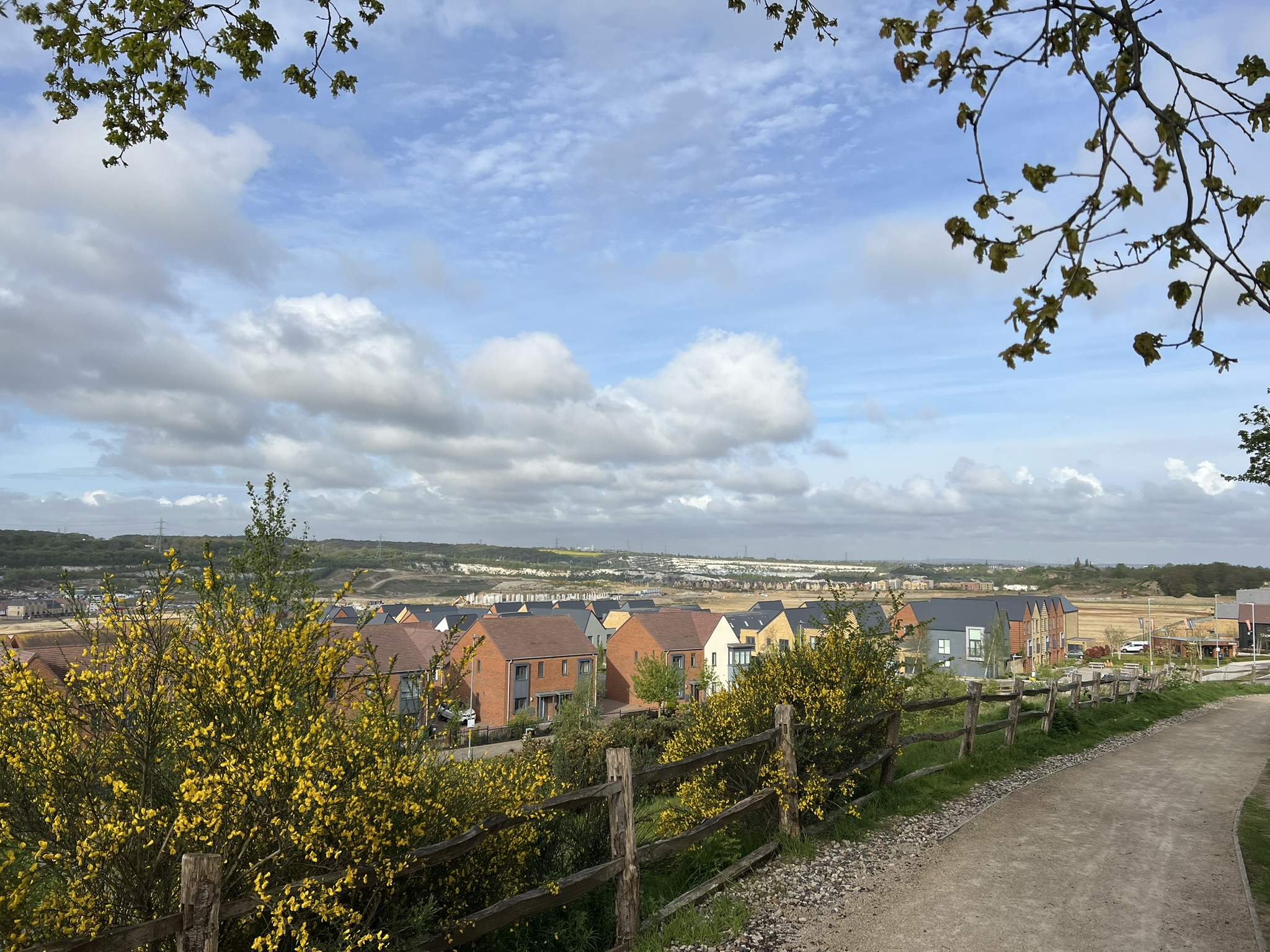 Management Companies